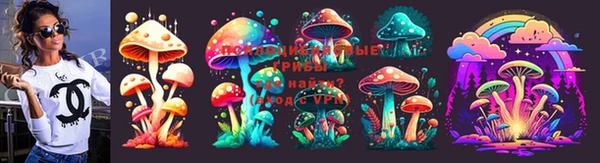 PSILOCYBIN Балабаново