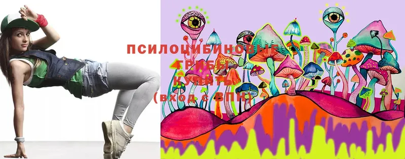 Галлюциногенные грибы MAGIC MUSHROOMS  где купить   Вичуга 